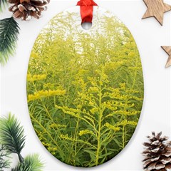 Yellow Goldenrod Ornament (oval) by okhismakingart