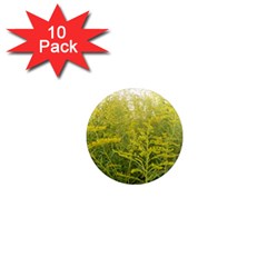 Yellow Goldenrod 1  Mini Magnet (10 Pack)  by okhismakingart