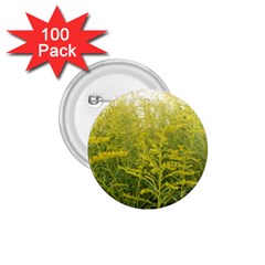 Yellow Goldenrod 1 75  Buttons (100 Pack)  by okhismakingart