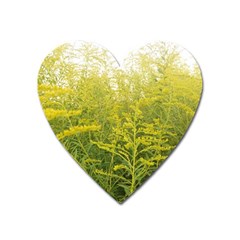 Yellow Goldenrod Heart Magnet by okhismakingart