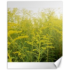 Yellow Goldenrod Canvas 16  X 20  by okhismakingart