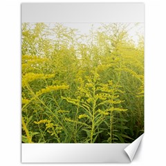 Yellow Goldenrod Canvas 18  X 24  by okhismakingart