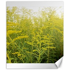 Yellow Goldenrod Canvas 20  X 24  by okhismakingart