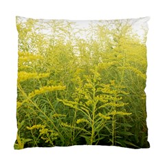 Yellow Goldenrod Standard Cushion Case (one Side) by okhismakingart