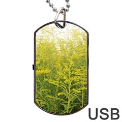 Yellow Goldenrod Dog Tag Usb Flash (one Side) by okhismakingart