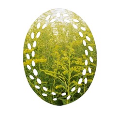 Yellow Goldenrod Ornament (oval Filigree) by okhismakingart