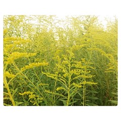 Yellow Goldenrod Double Sided Flano Blanket (medium)  by okhismakingart