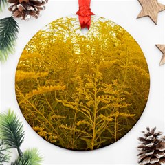 Gold Goldenrod Ornament (round) by okhismakingart