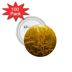 Gold Goldenrod 1 75  Buttons (100 Pack)  by okhismakingart