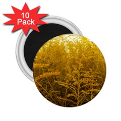 Gold Goldenrod 2 25  Magnets (10 Pack)  by okhismakingart