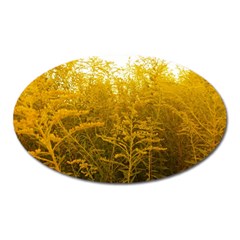 Gold Goldenrod Oval Magnet by okhismakingart