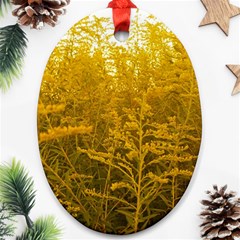 Gold Goldenrod Oval Ornament (two Sides) by okhismakingart