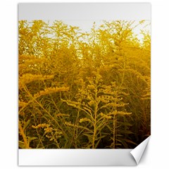 Gold Goldenrod Canvas 11  X 14  by okhismakingart