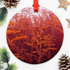 Red Goldenrod Ornament (round) by okhismakingart