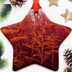 Red Goldenrod Ornament (star) by okhismakingart