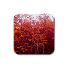 Red Goldenrod Rubber Square Coaster (4 Pack)  by okhismakingart