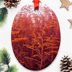 Red Goldenrod Oval Ornament (two Sides) by okhismakingart