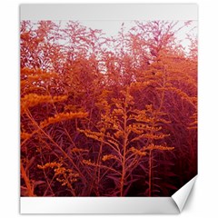 Red Goldenrod Canvas 20  X 24  by okhismakingart