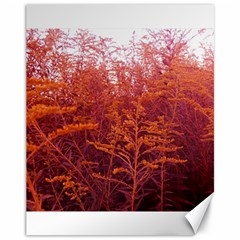 Red Goldenrod Canvas 11  X 14  by okhismakingart