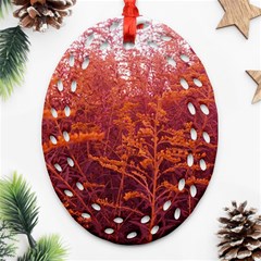 Red Goldenrod Ornament (oval Filigree) by okhismakingart