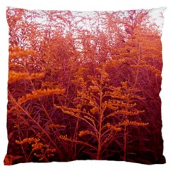 Red Goldenrod Large Cushion Case (one Side) by okhismakingart