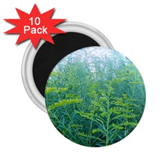 Turquoise Goldenrod 2 25  Magnets (10 Pack)  by okhismakingart