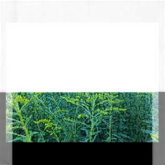 Turquoise Goldenrod Rectangular Jigsaw Puzzl by okhismakingart