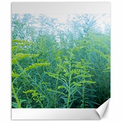 Turquoise Goldenrod Canvas 8  X 10  by okhismakingart