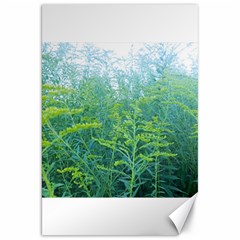 Turquoise Goldenrod Canvas 20  X 30  by okhismakingart