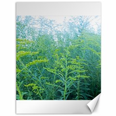 Turquoise Goldenrod Canvas 36  X 48  by okhismakingart