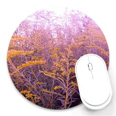 Pink Goldenrod Round Mousepads by okhismakingart