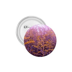 Pink Goldenrod 1 75  Buttons by okhismakingart