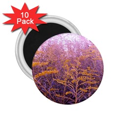 Pink Goldenrod 2 25  Magnets (10 Pack)  by okhismakingart