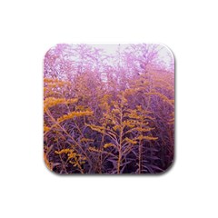 Pink Goldenrod Rubber Square Coaster (4 Pack)  by okhismakingart