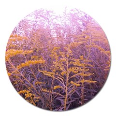 Pink Goldenrod Magnet 5  (round) by okhismakingart