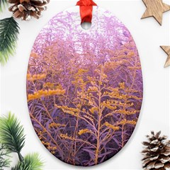 Pink Goldenrod Oval Ornament (two Sides) by okhismakingart