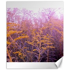 Pink Goldenrod Canvas 8  X 10  by okhismakingart