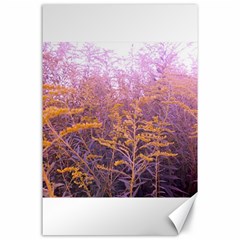 Pink Goldenrod Canvas 24  X 36  by okhismakingart