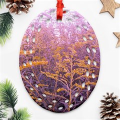 Pink Goldenrod Ornament (oval Filigree) by okhismakingart