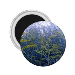 Blue Goldenrod 2 25  Magnets by okhismakingart