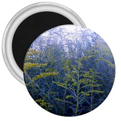 Blue Goldenrod 3  Magnets by okhismakingart