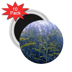 Blue Goldenrod 2 25  Magnets (10 Pack)  by okhismakingart