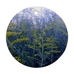 Blue Goldenrod Round Ornament (two Sides) by okhismakingart