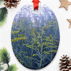 Blue Goldenrod Oval Ornament (two Sides) by okhismakingart