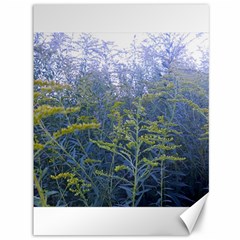 Blue Goldenrod Canvas 36  X 48  by okhismakingart