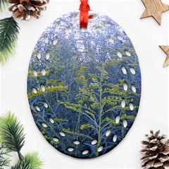 Blue Goldenrod Oval Filigree Ornament (two Sides) by okhismakingart