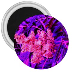 Pink And Blue Sideways Sumac 3  Magnets by okhismakingart