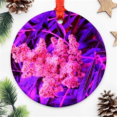 Pink And Blue Sideways Sumac Ornament (round) by okhismakingart