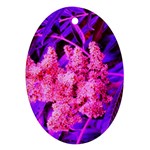 Pink and Blue Sideways Sumac Ornament (Oval) Front