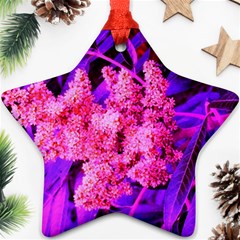 Pink And Blue Sideways Sumac Ornament (star) by okhismakingart